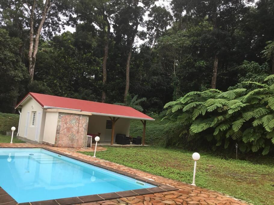 Les Lucioles 1 Beau T2 En Foret Tropicale Avec Acces Piscine Saint-Joseph Kültér fotó