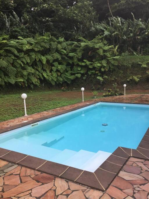 Les Lucioles 1 Beau T2 En Foret Tropicale Avec Acces Piscine Saint-Joseph Kültér fotó
