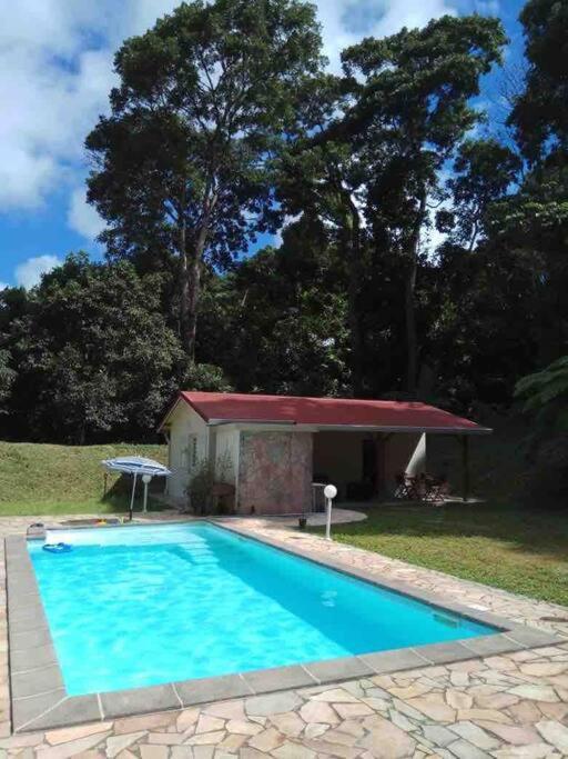 Les Lucioles 1 Beau T2 En Foret Tropicale Avec Acces Piscine Saint-Joseph Kültér fotó